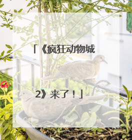 《疯狂动物城2》来了！