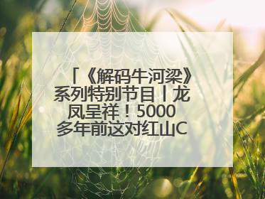 《解码牛河梁》系列特别节目丨龙凤呈祥！5000多年前这对红山CP竟这么好嗑