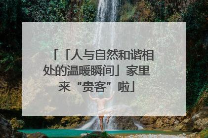 「人与自然和谐相处的温暖瞬间」家里来“贵客”啦