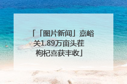 「图片新闻」嘉峪关1.89万亩头茬枸杞喜获丰收