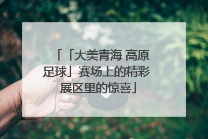 「大美青海 高原足球」赛场上的精彩 展区里的惊喜