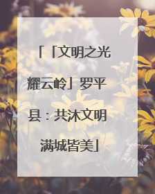 「文明之光耀云岭」罗平县：共沐文明 满城皆美