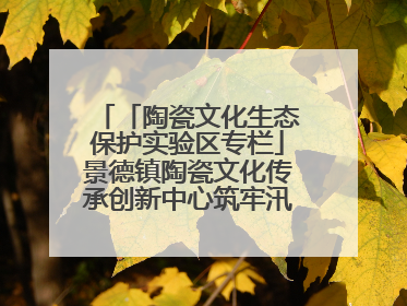 「陶瓷文化生态保护实验区专栏」景德镇陶瓷文化传承创新中心筑牢汛期安全线
