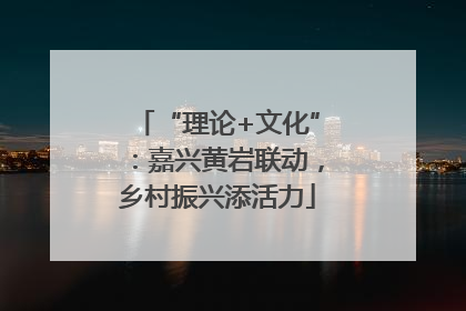 “理论+文化”：嘉兴黄岩联动，乡村振兴添活力