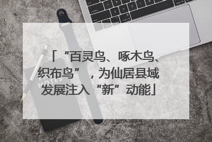 “百灵鸟、啄木鸟、织布鸟”，为仙居县域发展注入“新”动能
