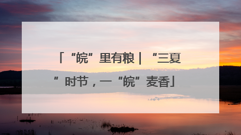 “皖”里有粮｜“三夏”时节，一“皖”麦香