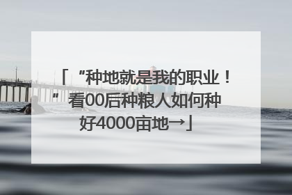 “种地就是我的职业！”看00后种粮人如何种好4000亩地→