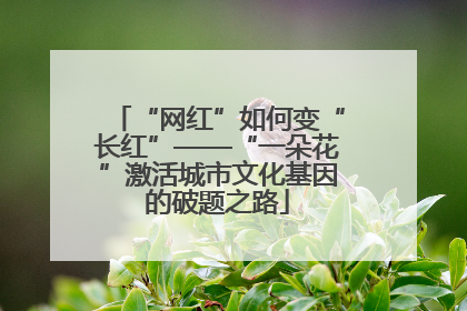 “网红”如何变“长红”——“一朵花”激活城市文化基因的破题之路