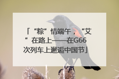“粽”情端午，“艾”在路上——在G66次列车上邂逅中国节