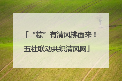 “粽”有清风拂面来！五社联动共织清风网