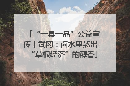 “一县一品”公益宣传丨武冈：卤水里熬出“草根经济”的醇香