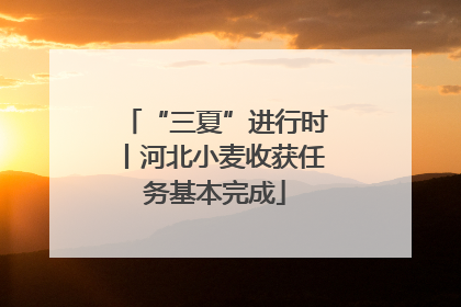 “三夏”进行时丨河北小麦收获任务基本完成