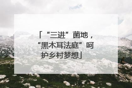 “三进”菌地，“黑木耳法庭”呵护乡村梦想