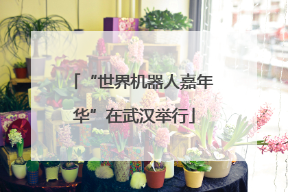 “世界机器人嘉年华”在武汉举行
