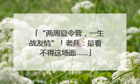 “两周夏令营，一生战友情”！老兵：最看不得这场面……