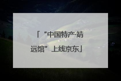 “中国特产·靖远馆”上线京东