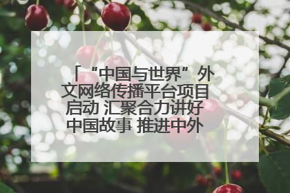 “中国与世界”外文网络传播平台项目启动 汇聚合力讲好中国故事 推进中外文明交流互鉴