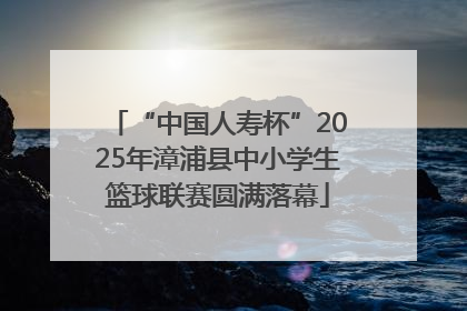 “中国人寿杯”2025年漳浦县中小学生篮球联赛圆满落幕