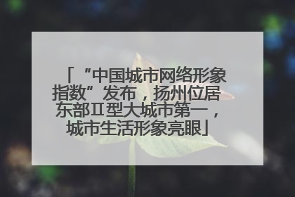 “中国城市网络形象指数”发布，扬州位居东部Ⅱ型大城市第一，城市生活形象亮眼