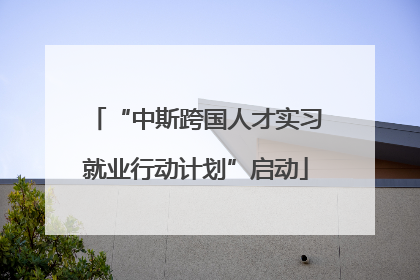 “中斯跨国人才实习就业行动计划”启动