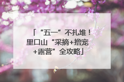 “五一”不扎堆！里口山“采摘+撸宠+露营”全攻略