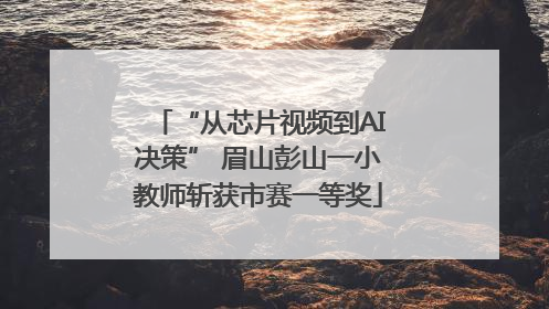 “从芯片视频到AI决策” 眉山彭山一小教师斩获市赛一等奖