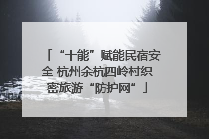 “十能”赋能民宿安全 杭州余杭四岭村织密旅游“防护网”