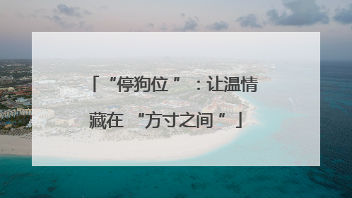 “停狗位 ”：让温情藏在 “方寸之间 ”