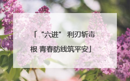 “六进” 利刃斩毒根 青春防线筑平安