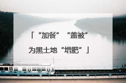 “加餐”“盖被” 为黑土地“增肥”