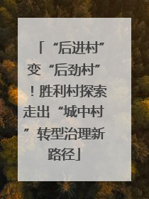 “后进村”变“后劲村”！胜利村探索走出“城中村”转型治理新路径