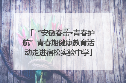 “安徽春蕾•青春护航”青春期健康教育活动走进宿松实验中学