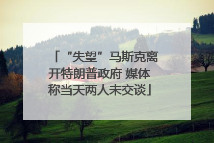 “失望”马斯克离开特朗普政府 媒体称当天两人未交谈
