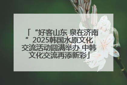 “好客山东 泉在济南”2025韩国水原文化交流活动圆满举办 中韩文化交流再添新彩