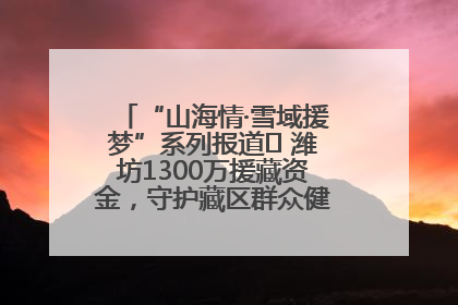 “山海情·雪域援梦”系列报道⑪ 潍坊1300万援藏资金，守护藏区群众健康“最后一公里”