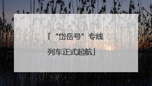 “岱岳号”专线列车正式起航