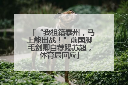 “我祖籍泰州，马上能出战！”前国脚毛剑卿自荐踢苏超，体育局回应