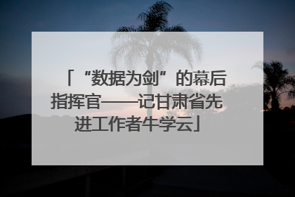 “数据为剑”的幕后指挥官——记甘肃省先进工作者牛学云