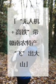 “无人机＋高铁”带赣南农特产“飞”出大山