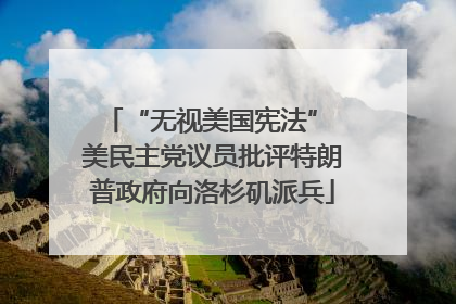 “无视美国宪法” 美民主党议员批评特朗普政府向洛杉矶派兵