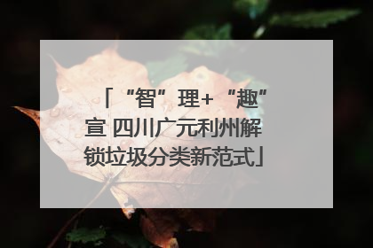 “智”理+“趣”宣 四川广元利州解锁垃圾分类新范式