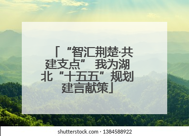 “智汇荆楚·共建支点” 我为湖北“十五五”规划建言献策
