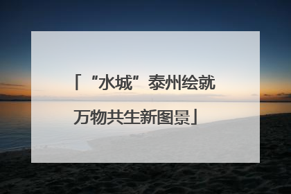 “水城”泰州绘就万物共生新图景