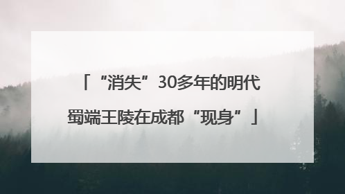 “消失”30多年的明代蜀端王陵在成都“现身”