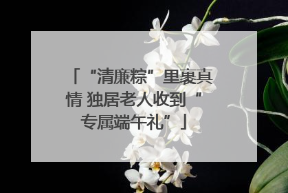 “清廉粽”里裹真情 独居老人收到“专属端午礼”