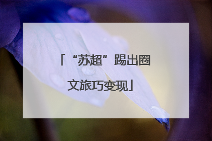 “苏超”踢出圈 文旅巧变现