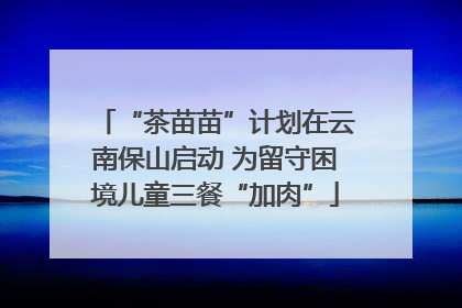 “茶苗苗”计划在云南保山启动 为留守困境儿童三餐“加肉”