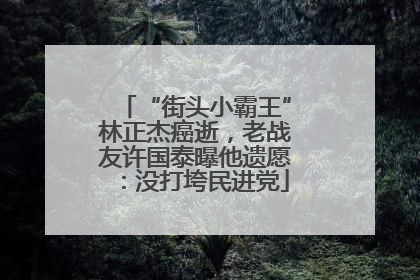 “街头小霸王”林正杰癌逝，老战友许国泰曝他遗愿：没打垮民进党