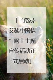“路易·艾黎中国情”网上主题宣传活动正式启动