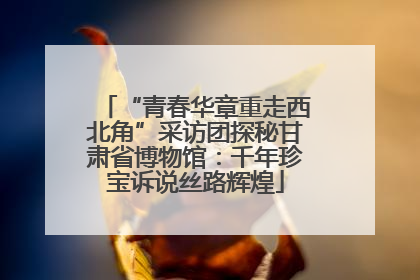 “青春华章重走西北角”采访团探秘甘肃省博物馆：千年珍宝诉说丝路辉煌